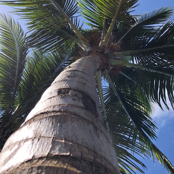 Meet your Posher, Michelle - Picture 1 of 1